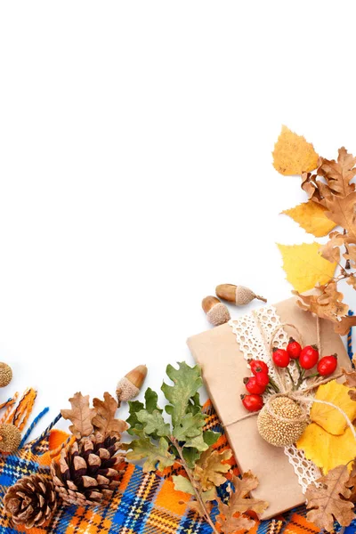 Happy Thanksgiving Day background. White background decorated with Pumpkins, Maize, fruits and autumn leaves. Autumn festival. Harvest festival. The view from the top. Vertical. — Stock Photo, Image