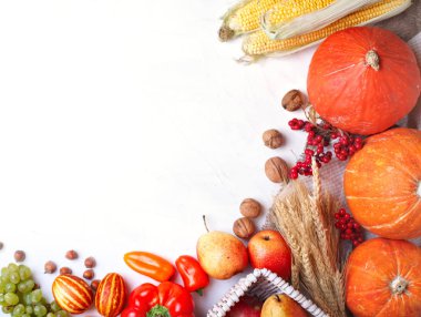 Mutlu Şükran günü arka plan, Pumpkins, Mısır, meyve ve sonbahar yaprakları ile süslenmiş tablo. Hasat Festivali. Üstten görünüm. Yatay. Arka plan kopya alanı ile.