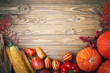 Mutlu Şükran günü arka plan, Pumpkins, Mısır, meyve ve sonbahar yaprakları ile süslenmiş tablo. Hasat Festivali. Üstten görünüm. Yatay. Arka plan kopya alanı ile.