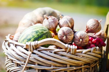 Farklı sebze ve meyve büyük sepet içinde. Sonbaharda hasat. Mutlu Şükran günü. Hasat Festivali.