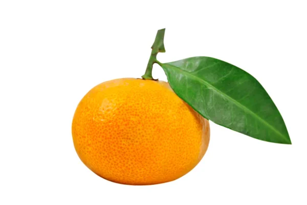 Mandarino Clementina Con Foglia Verde Isolata Fondo Bianco Oggetto Isolato — Foto Stock