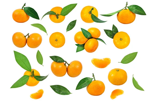 Set di mandarini con foglie e foglie di mandarino isolate su fondo bianco . — Foto Stock
