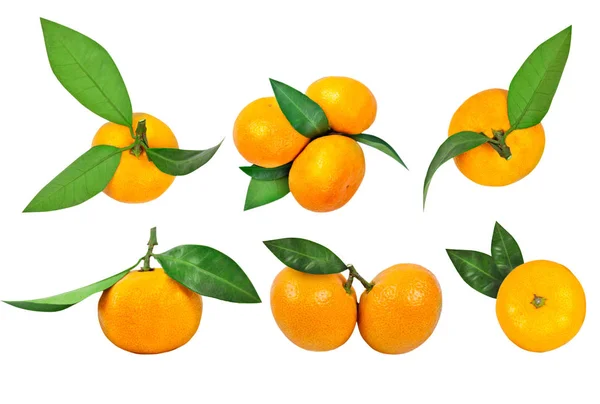 Set of tangerines with leaf and tangerine leaves isolated on white background. — Stock Photo, Image