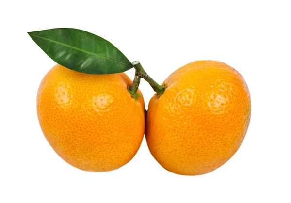 Mandarino o clementina con foglia verde isolata su fondo bianco. — Foto Stock