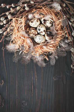 Eski ahşap zemin üzerine bıldırcın yumurtası. Mutlu paskalyalar. Üstten Görünüm. Ücretsiz kopya alanı. Seçici odak.