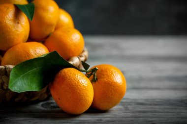 Rustik ahşap zemin üzerine sepet içinde yapraklarla mandalina.