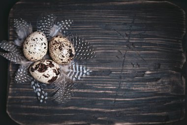Eski ahşap zemin üzerine bıldırcın yumurtası. Mutlu paskalyalar. Üstten Görünüm. Ücretsiz kopya alanı. Seçici odak.