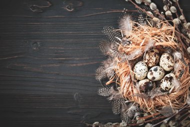 Eski ahşap zemin üzerine bıldırcın yumurtası. Mutlu paskalyalar. Üstten Görünüm. Ücretsiz kopya alanı. Seçici odak.