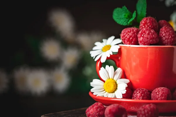 Frambuesa en una taza roja con manzanilla y hojas sobre un fondo oscuro. Verano y concepto de comida saludable. Fondo con espacio de copia. Enfoque selectivo . — Foto de Stock