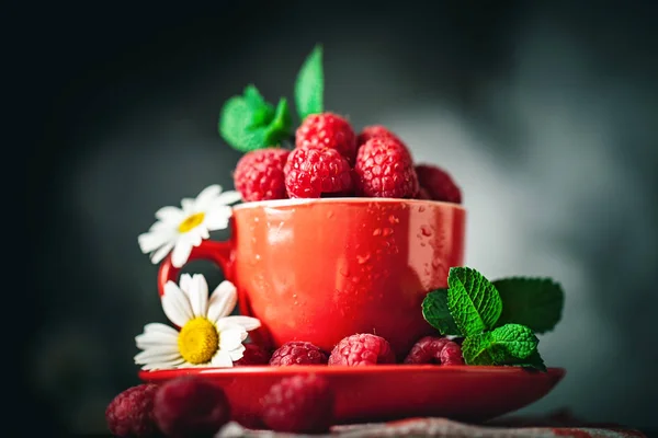 Frambuesa en una taza roja con manzanilla y hojas sobre un fondo oscuro. Verano y concepto de comida saludable. Enfoque selectivo . —  Fotos de Stock