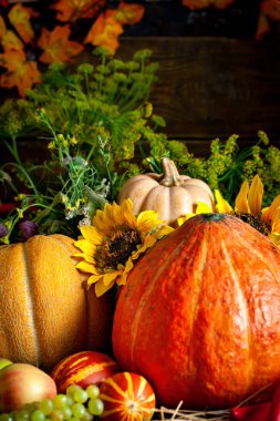 Sebze ve meyvelerle süslenmiş bir masa. Hasat Festivali. Mutlu Şükran Günleri Sonbahar arkaplanı. Seçici odak.