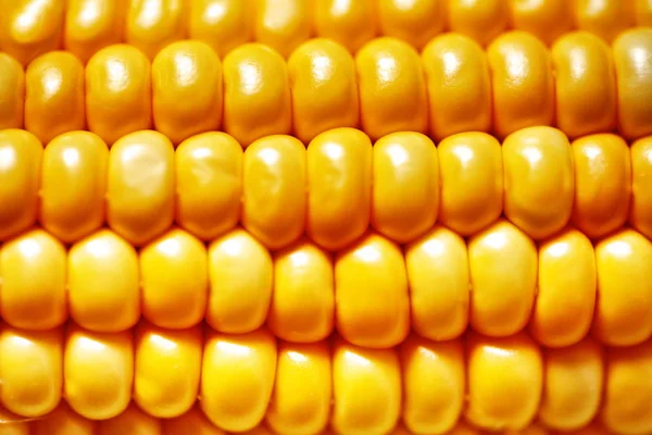 Corn texture. Yellow corns as background. Selective focus. Horizontal. — Stock Photo, Image