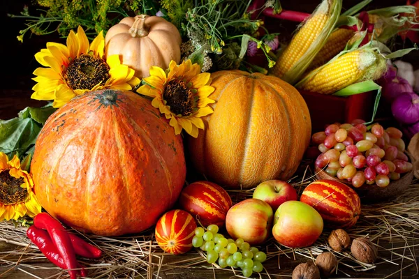 The table, decorated with vegetables and fruits. Harvest Festival. Happy Thanksgiving. Autumn background. Selective focus. — Stock Photo, Image