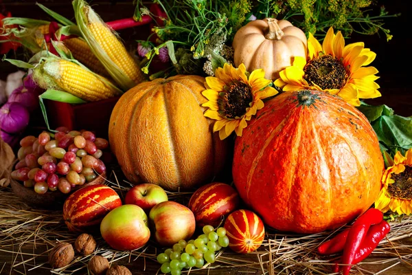 De tafel, versierd met groenten en fruit. Oogstfeest. Fijne Thanksgiving. Herfst achtergrond. Selectieve focus. — Stockfoto