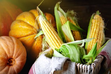 Sebze ve meyvelerle süslenmiş bir masa. Hasat Festivali. Mutlu Şükran Günleri Sonbahar arkaplanı. Seçici odak.
