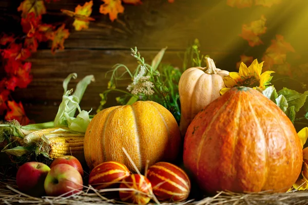 De tafel, versierd met groenten en fruit. Oogstfeest. Fijne Thanksgiving. Herfst achtergrond. Selectieve focus. — Stockfoto