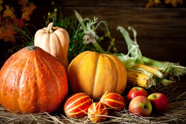 Sebze ve meyvelerle süslenmiş bir masa. Hasat Festivali. Mutlu Şükran Günleri Sonbahar arkaplanı. Seçici odak.