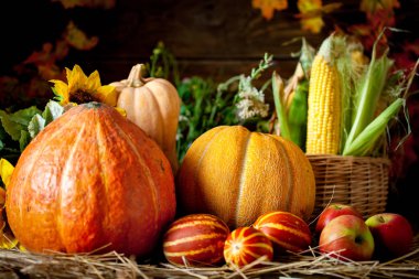 Sebze ve meyvelerle süslenmiş bir masa. Hasat Festivali. Mutlu Şükran Günleri Sonbahar arkaplanı. Seçici odak.