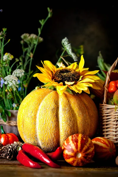 De tafel, versierd met groenten en fruit. Oogstfeest. Fijne Thanksgiving. Herfst achtergrond. Selectieve focus. — Stockfoto