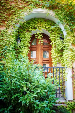 Yapraklarla kaplı güzel bir pencere. Dikey arkaplan. Mimari, tasarım.