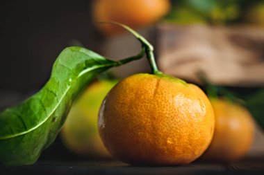 Eski moda bir masa üzerinde yaprakları olan mandalinalar. Seçici odaklanma. Yatay.