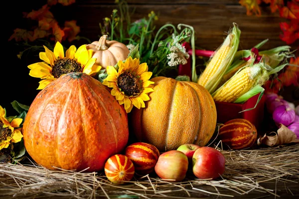 The table, decorated with vegetables and fruits. Harvest Festival. Happy Thanksgiving. Autumn background. Selective focus. — Stock Photo, Image