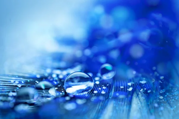 Schöne transparente Wassertropfen oder Regenwasser auf weichem Hintergrund. Makrofotografie. Desktop-Hintergrund. Selektiver Fokus. — Stockfoto
