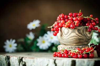 Koyu kırsal ahşap masada taze kırmızı frenk üzümü tabağı. Kopya alanı olan bir arkaplan. Seçici odak.