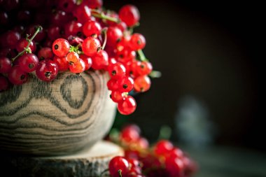Koyu kırsal ahşap masada taze kırmızı frenk üzümü tabağı. Kopya alanı olan bir arkaplan. Seçici odak.