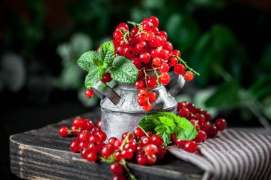 Koyu kırsal ahşap bir masada fincanda taze kırmızı frenk üzümü. Kopyalamak için alanı olan bir arka plan. Seçici odak.