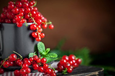 Koyu kırsal ahşap bir masada fincanda taze kırmızı frenk üzümü. Kopyalamak için alanı olan bir arka plan. Seçici odak.