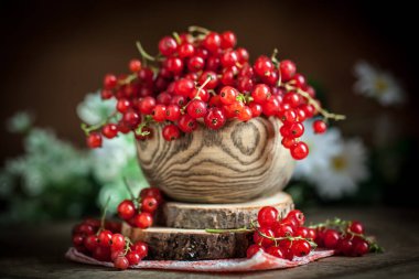 Koyu kırsal ahşap masada taze kırmızı frenk üzümü tabağı. Kopya alanı olan bir arkaplan. Seçici odak.