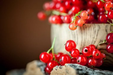 Koyu kırsal ahşap masada taze kırmızı frenk üzümü tabağı. Kopya alanı olan bir arkaplan. Seçici odak.