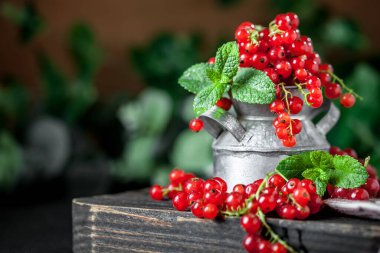 Koyu kırsal ahşap bir masada fincanda taze kırmızı frenk üzümü. Kopyalamak için alanı olan bir arka plan. Seçici odak.