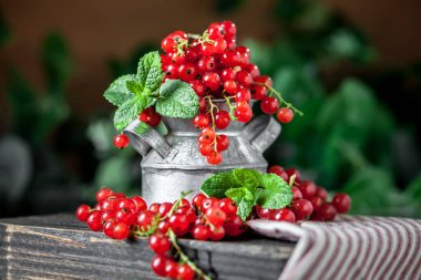 Koyu kırsal ahşap bir masada fincanda taze kırmızı frenk üzümü. Kopyalamak için alanı olan bir arka plan. Seçici odak.