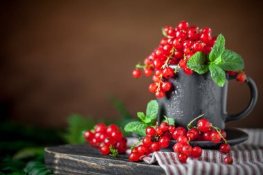 Koyu kırsal ahşap bir masada fincanda taze kırmızı frenk üzümü. Kopyalamak için alanı olan bir arka plan. Seçici odak.