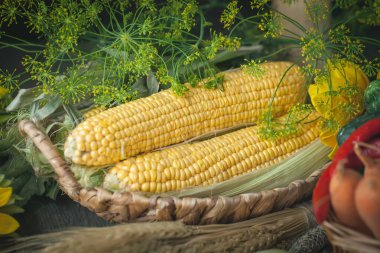 Sebze ve meyvelerle süslenmiş bir masa. Hasat Festivali, Mutlu Şükran Günleri. Sonbahar arkaplanı. Seçici odak.