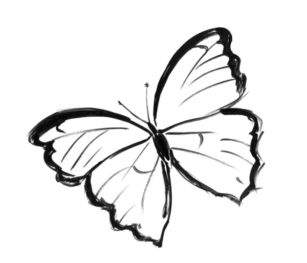 インクを黒蝶の図面を手 — ストック写真