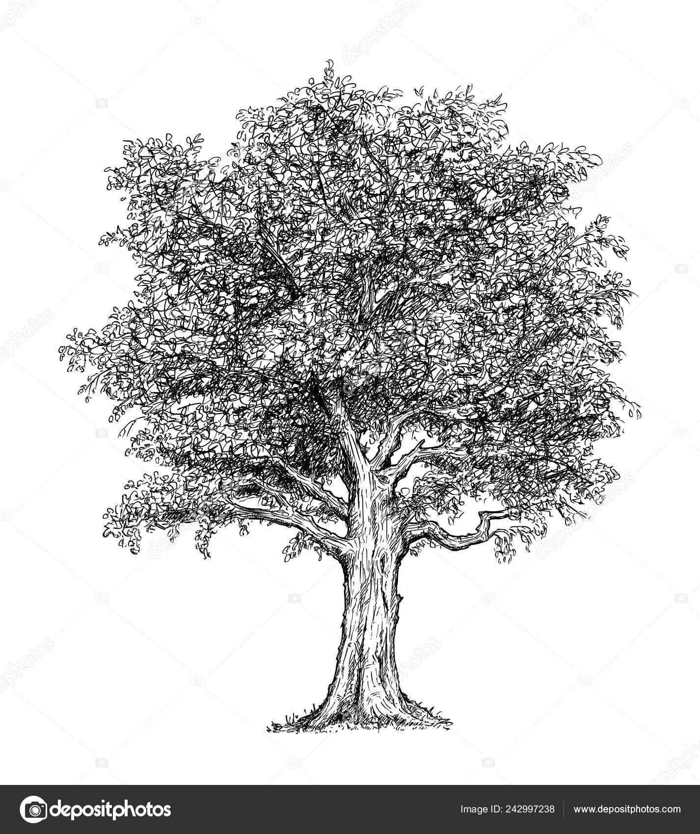Дерево рисунок реалистично