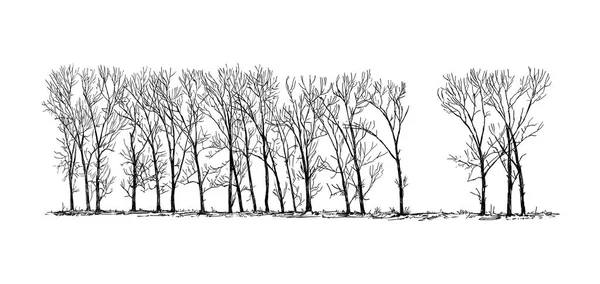 Cartoon Drawing of Group atau Alley of Poplar Trees in the Far — Stok Foto