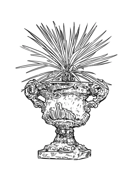 Čerpání staré antické dekorativní kamenné pohár nebo váza s Yucca rostlina — Stock fotografie