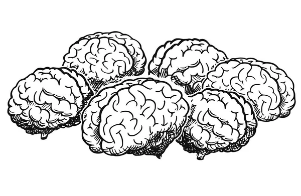 Karikatur einer Gruppe menschlicher Gehirne, die beim Brainstorming gemeinsam denken — Stockvektor