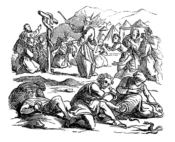 Menggambar kuno kisah Alkitab orang Israel Berbicara Melawan Musa, Allah Kirim Ular Beracun sebagai Hukuman - Stok Vektor