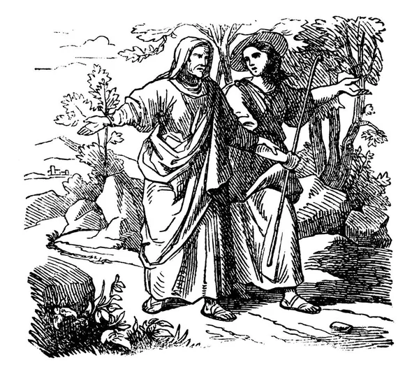 Vintage-Zeichnung der biblischen Geschichte von Groll und Boas. Mann und Frau gehen gemeinsam — Stockvektor