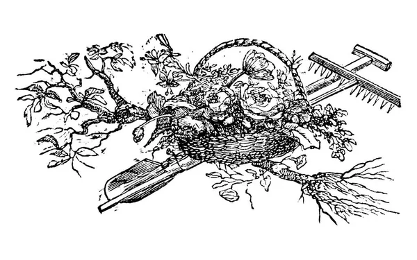 Винтажный векторный рисунок или инкрустация старинного дизайна украшения корзины с фломастерами и садовыми инструментами и деревом вокруг — стоковый вектор