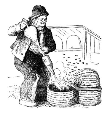 Eski vektör çizimi ya da antik Gravürlü pancarı Hive ve Smoker ile çalışma Illustration