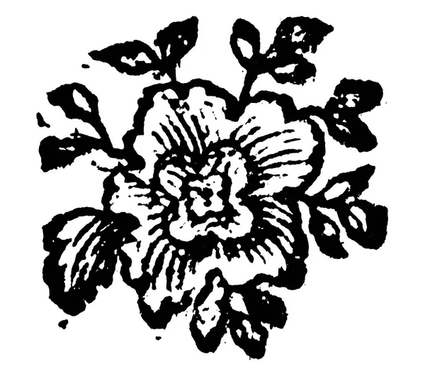 Vintage Vector Drawing or Engraving of Grunge Antique Floral Decoration Design of Flower — Διανυσματικό Αρχείο