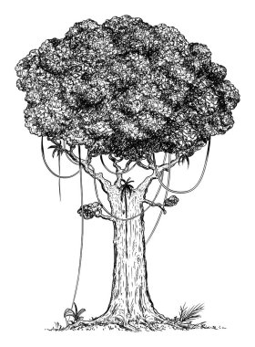 Yağmur Ormanından Ağaç Çizimi Vektör Çizimi