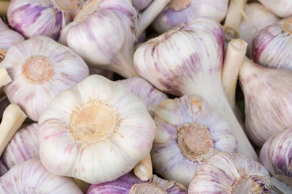 Primer Plano Los Bulbos Ajo Vistos Mercado — Foto de Stock