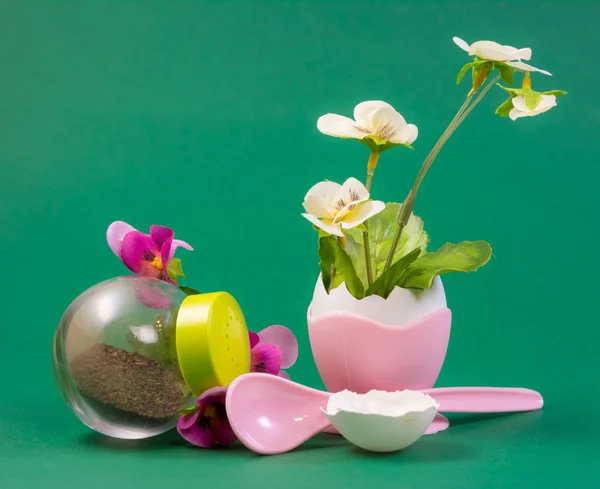 Primavera Naturaleza Muerta Con Flor Que Crece Una Cáscara Huevo — Foto de Stock